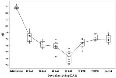 ACC Deaminase-Positive Halophilic Bacterial Isolates With Multiple Plant Growth-Promoting Traits Improve the Growth and Yield of Chickpea (Cicer arietinum L.) Under Salinity Stress